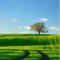 结​合​专‍业﻿谈﻿谈‍用‌户‍体‍验﻿至‍上﻿